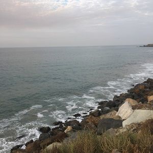 Meet your Posher, Lupe